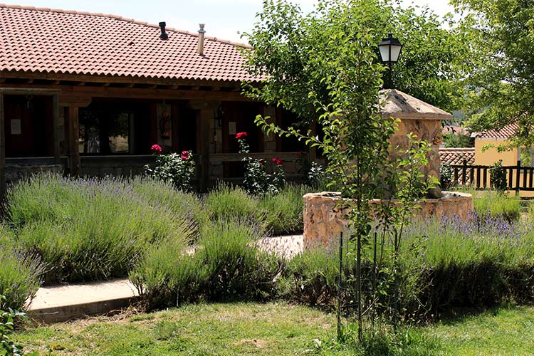 Casitas