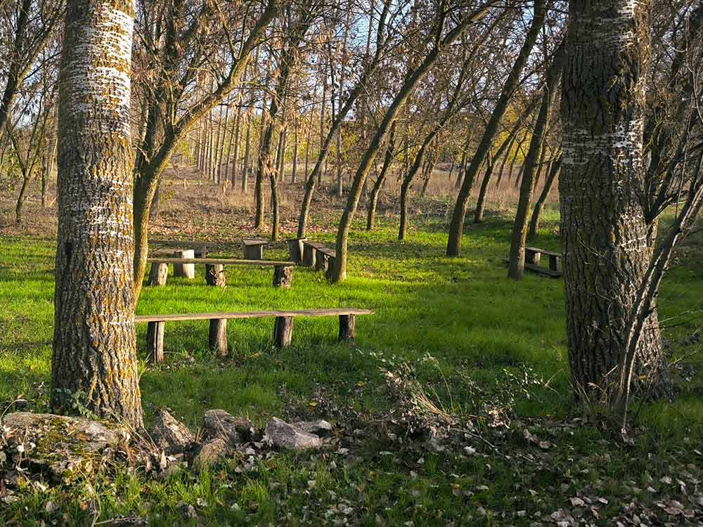 Alrededores del Monasterio